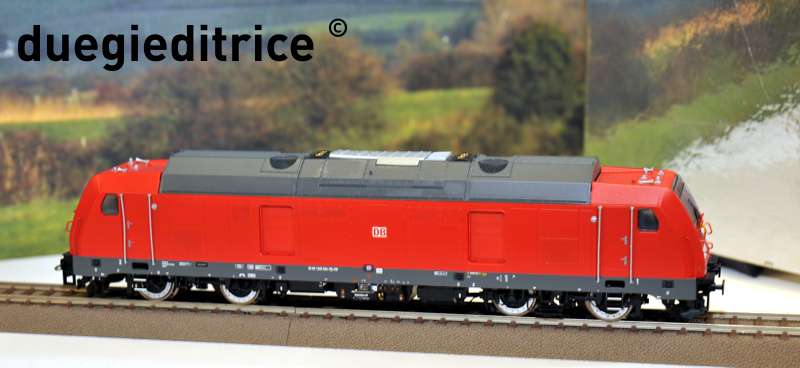 DSC_8876_rid.jpg