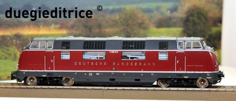 DSC_8877_rid.jpg