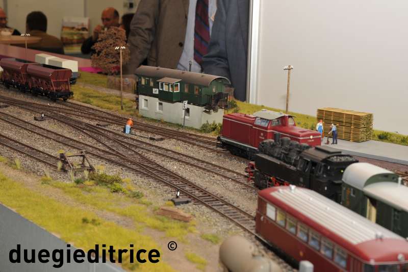 DSC_8886_rid.jpg