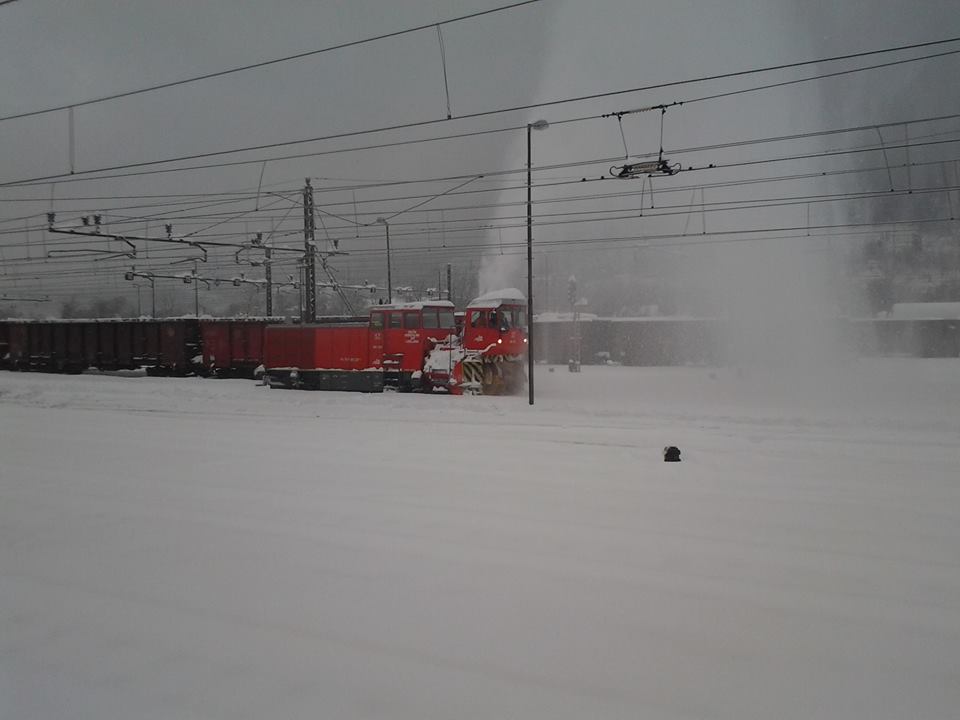 1560652_10202319049689209_110267226_n.jpg