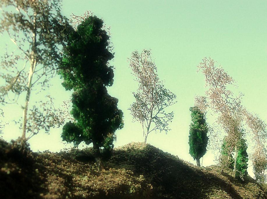 HPIM0219.JPG