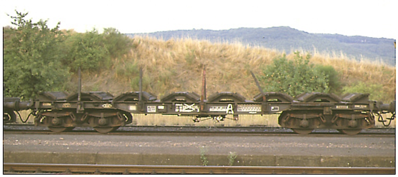 661_5335.jpg