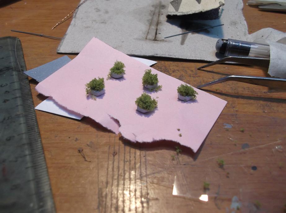 DSCF5762.JPG