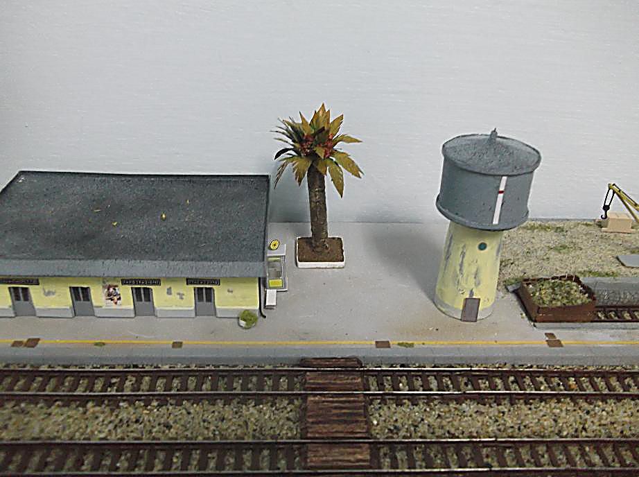 DSCF5782.JPG
