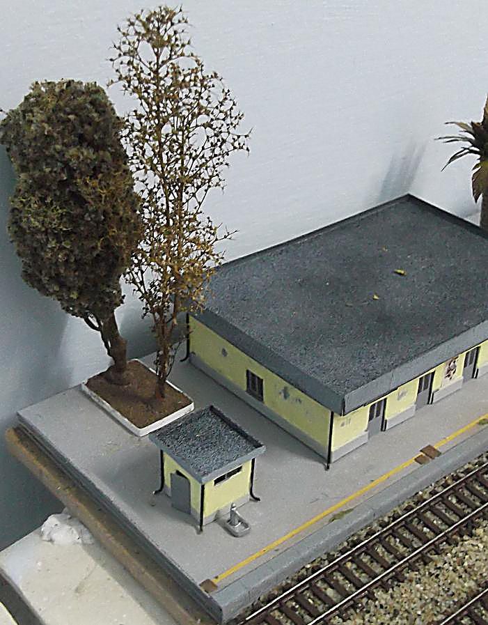 DSCF5784.JPG