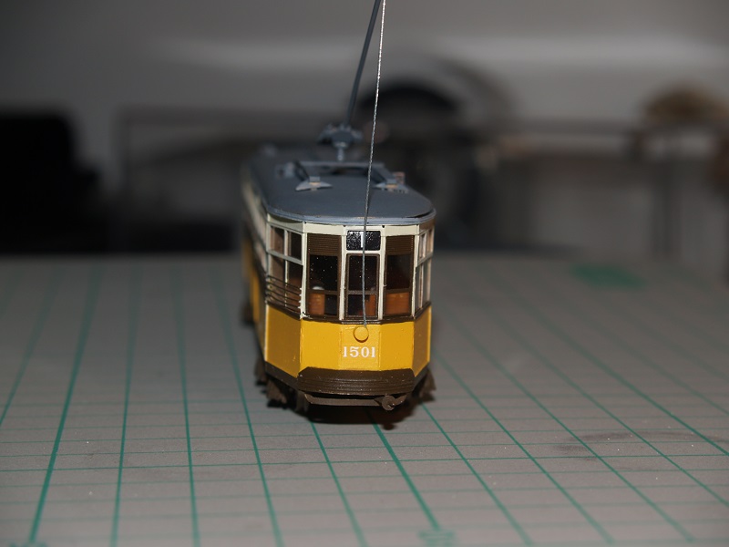 1501 Gialla - 5.JPG