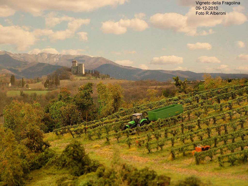 Vigneto_01.jpg