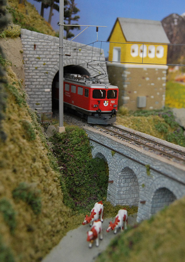 705.jpg