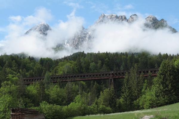 ponte.jpg