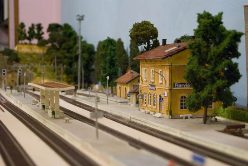 DSC_0009.jpg