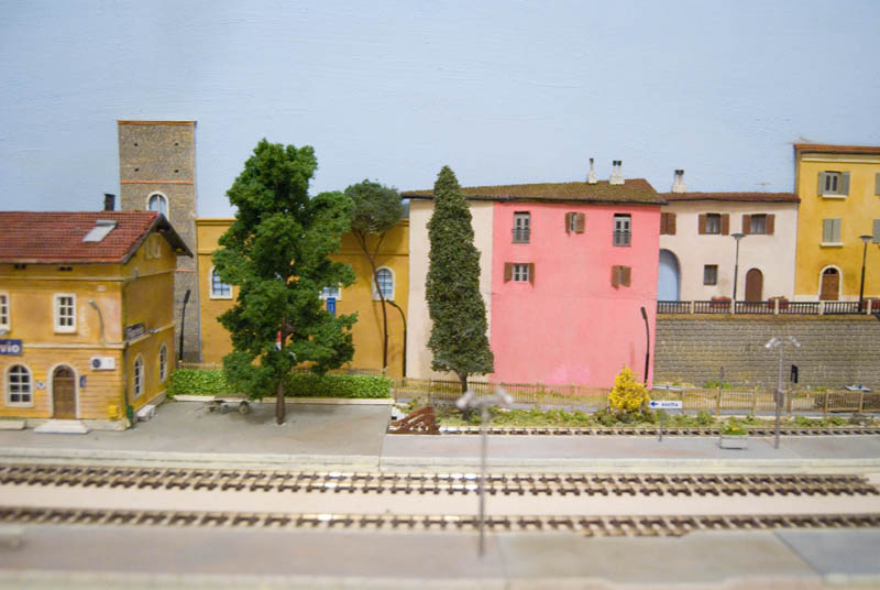 DSC_0011.jpg