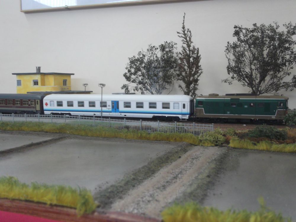 DSCF1367.JPG