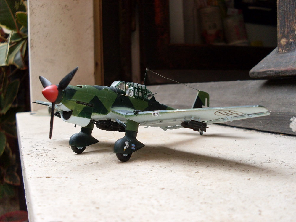 SDC11700 - Copia (2).JPG