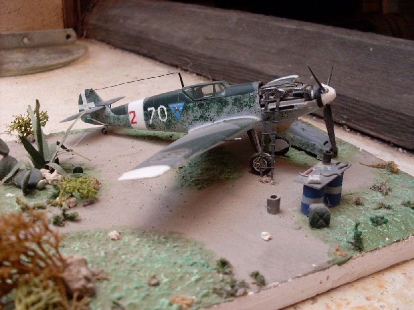 Copia di SDC11733.JPG