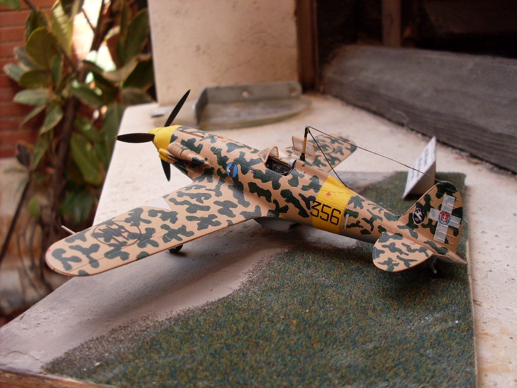 Copia di SDC11740.JPG