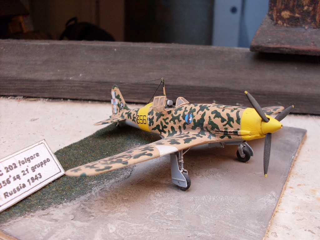 Copia di SDC11741.JPG