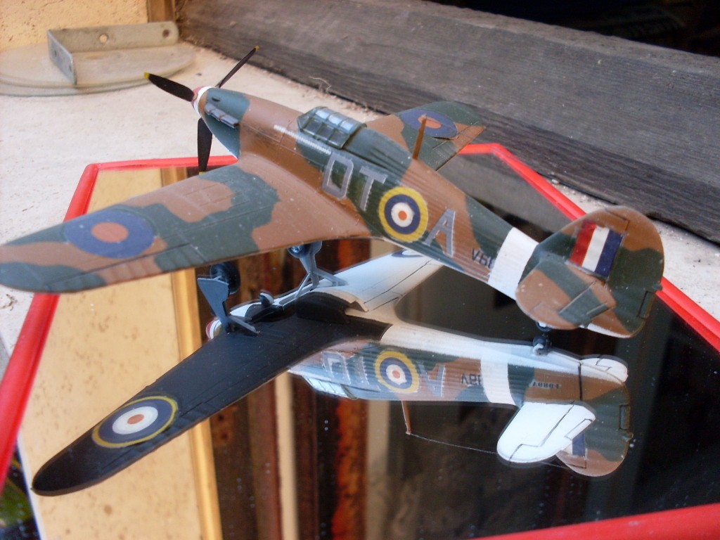 Copia di SDC11780.JPG