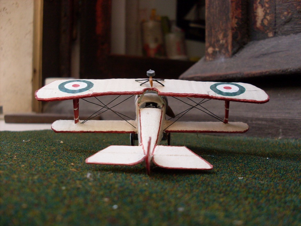 Copia di SDC11804.JPG