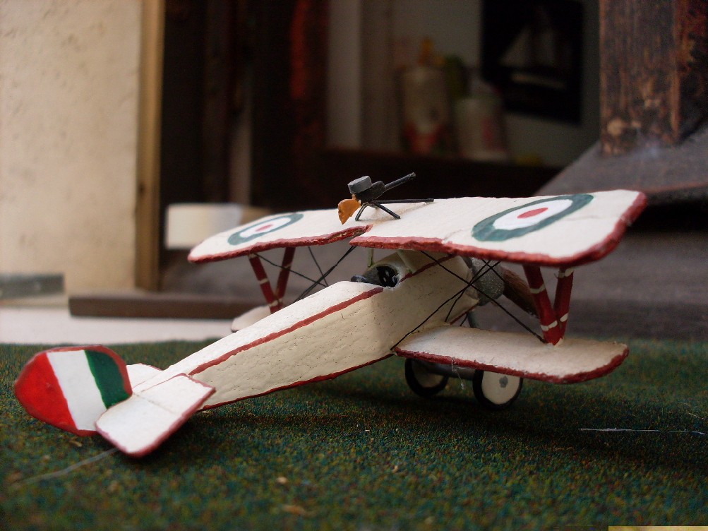 Copia di SDC11806.JPG