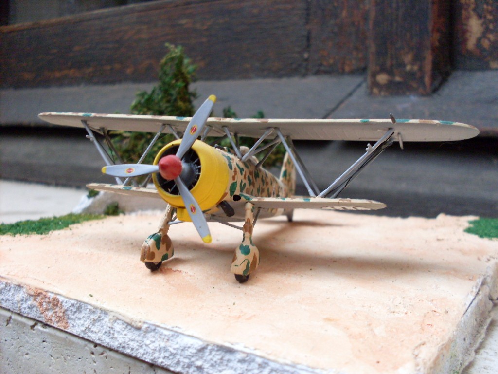 Copia di SDC11827.JPG