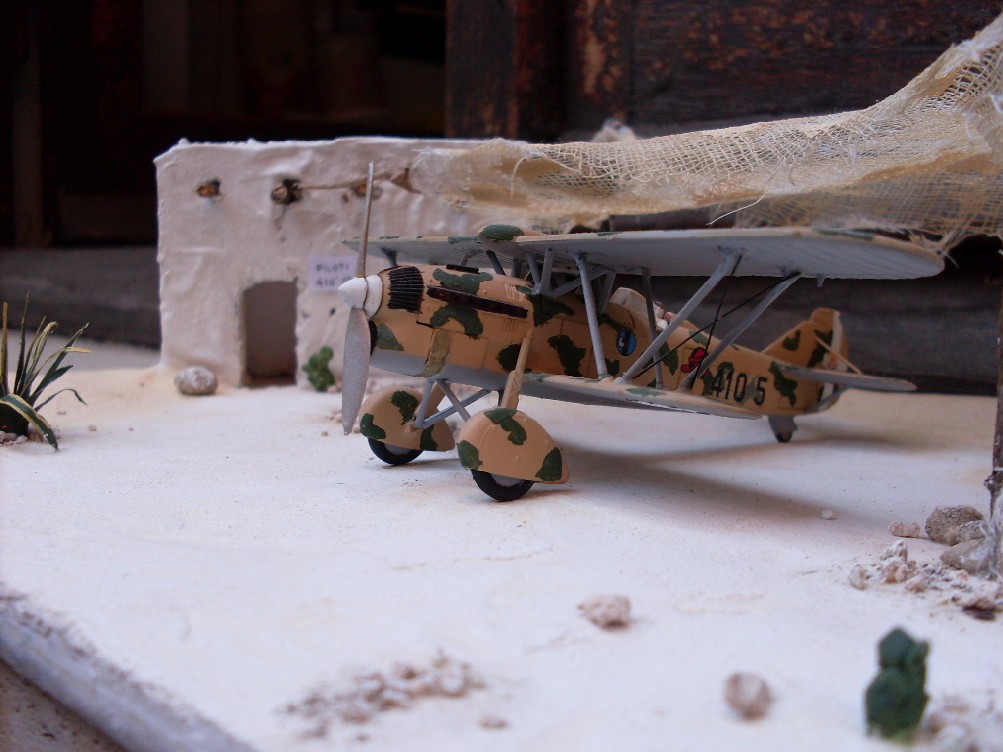 Copia di SDC11874.JPG