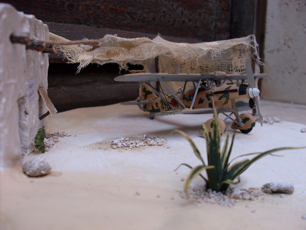 Copia di SDC11877.JPG