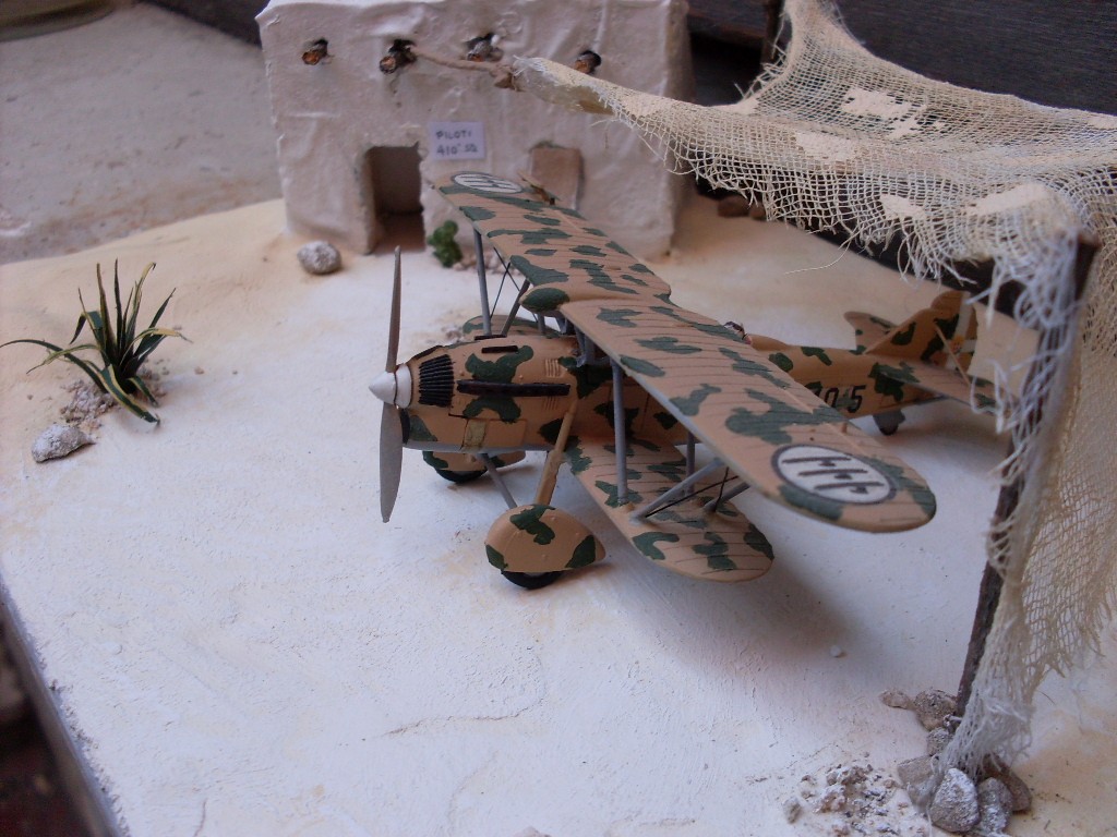 Copia di SDC11878.JPG