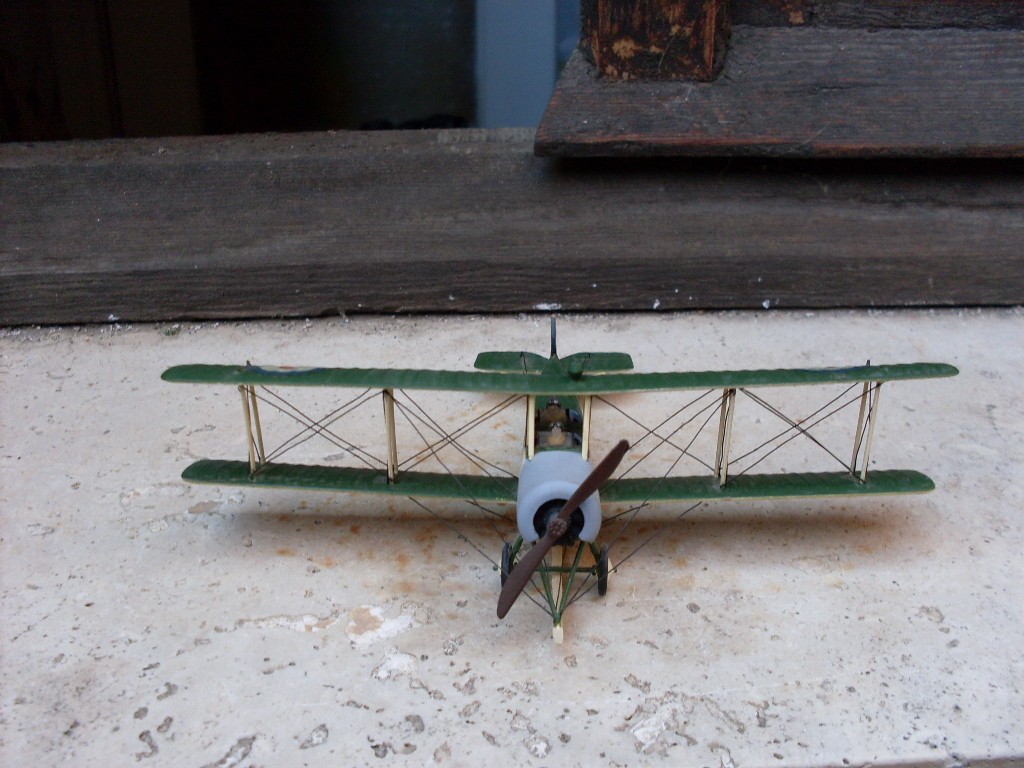 Copia di SDC11868.JPG