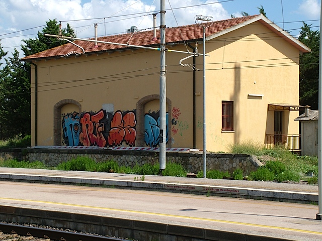 DSCF6884.jpg