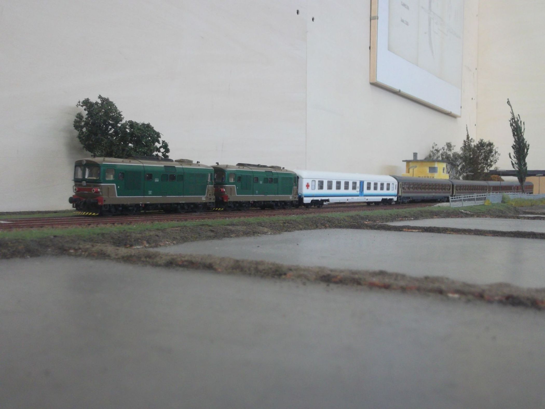 DSCF1376.JPG