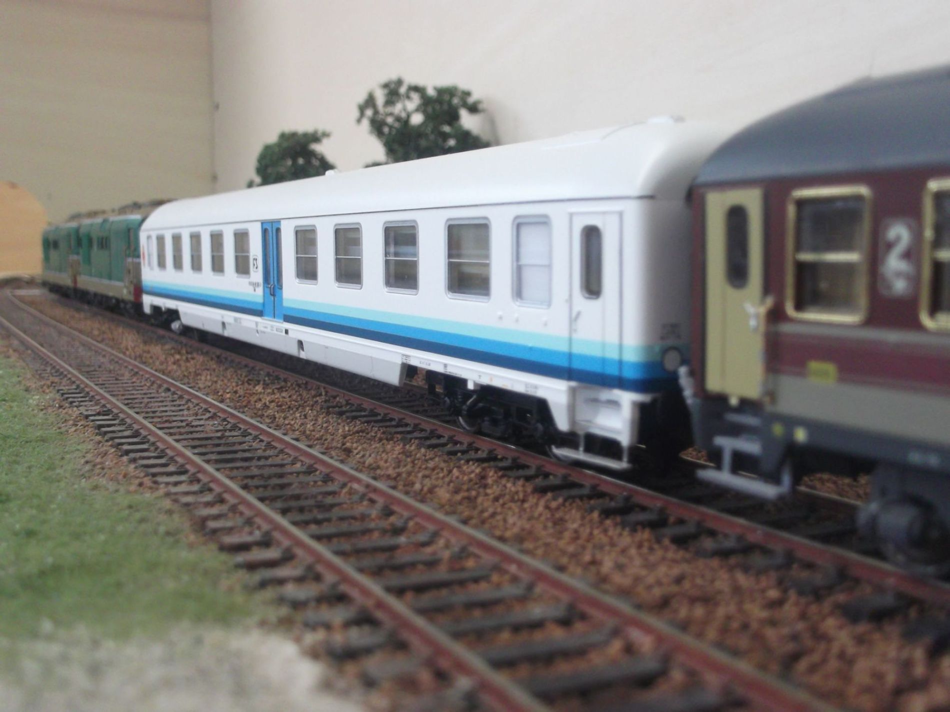 DSCF1375.JPG