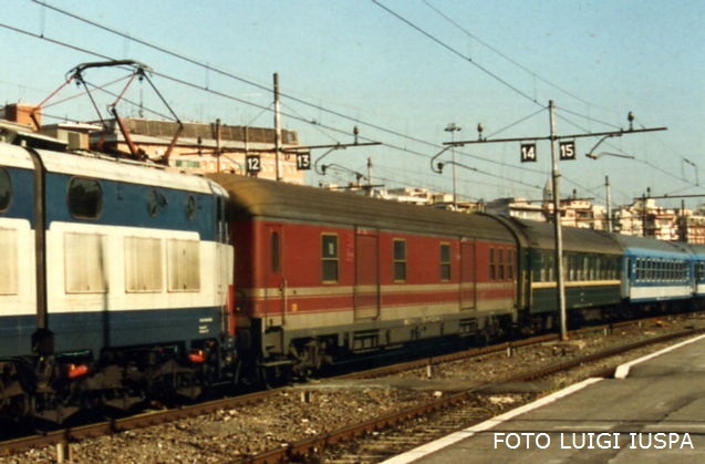 moscaroma9wk.jpg