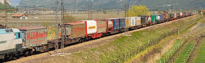 rtcEU43-004_0100421_Solorno-MS-700.jpg