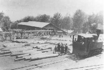 Treno_a_vapore_sul_Gariglione2.gif