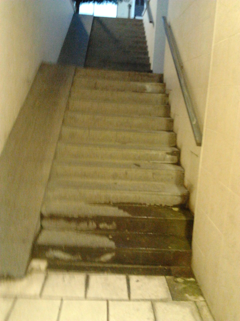 2014-11-10 06.43.27.jpg