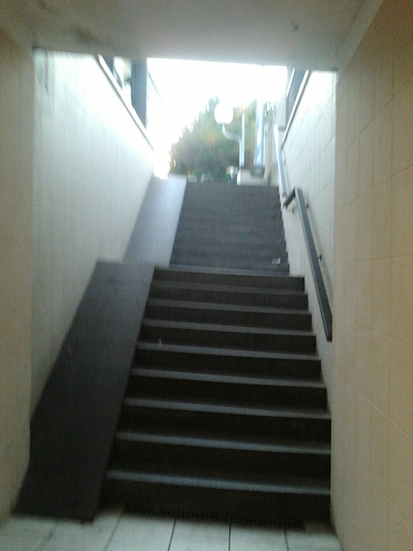 2014-11-15 07.30.30.jpg