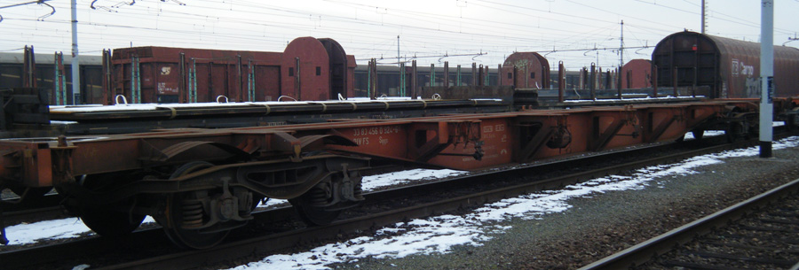 Sggs arancione.jpg