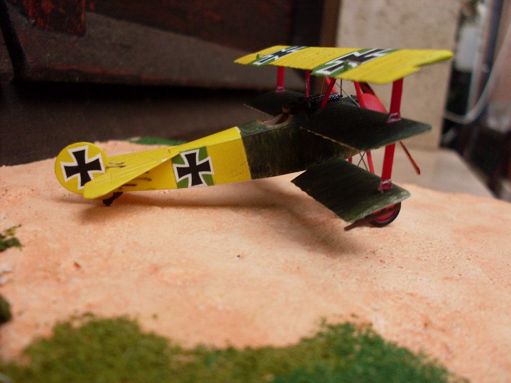 Copia di SDC12810.JPG