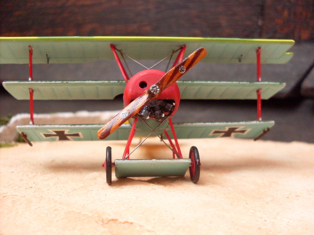 Copia di SDC12811.JPG