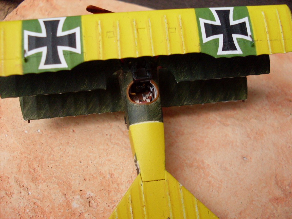 Copia di SDC12820.JPG