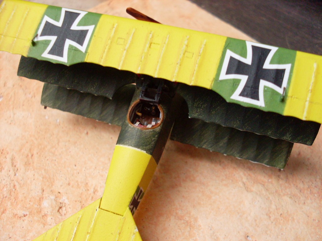 Copia di SDC12821.JPG