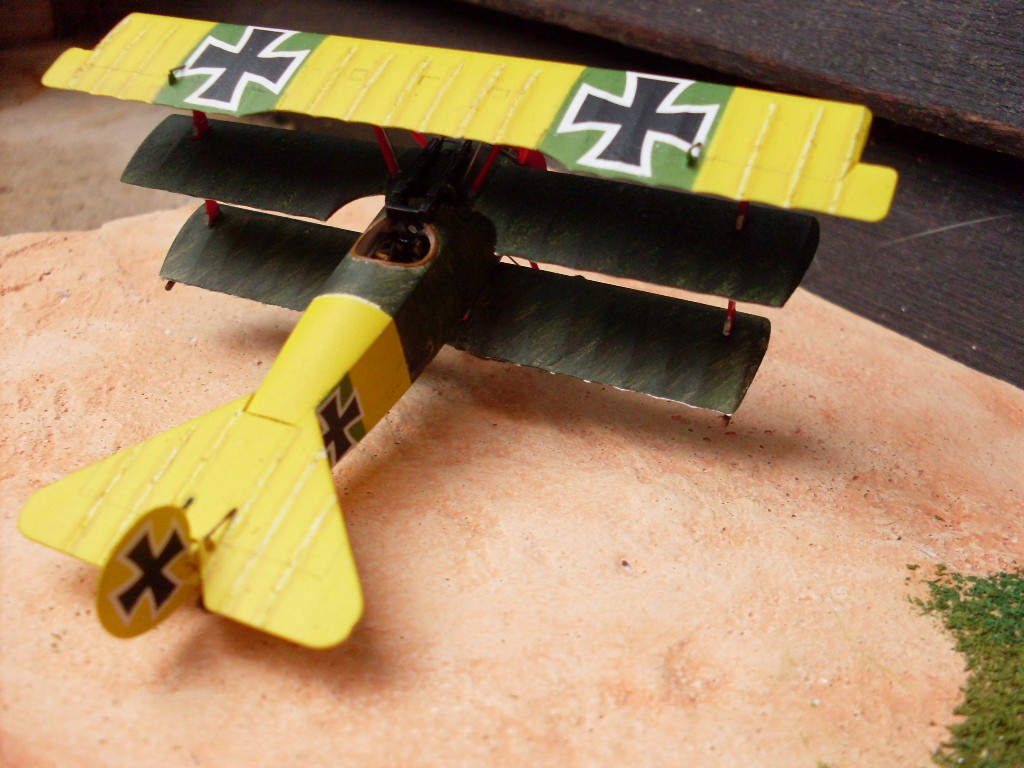 Copia di SDC12822.JPG