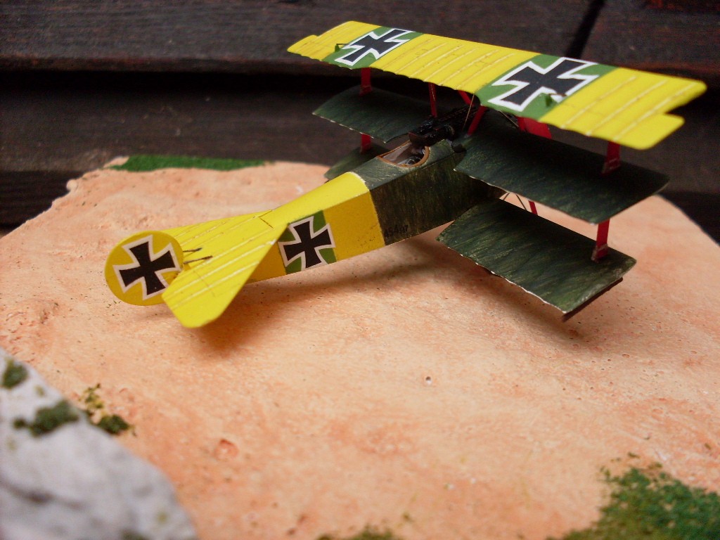 Copia di SDC12824.JPG