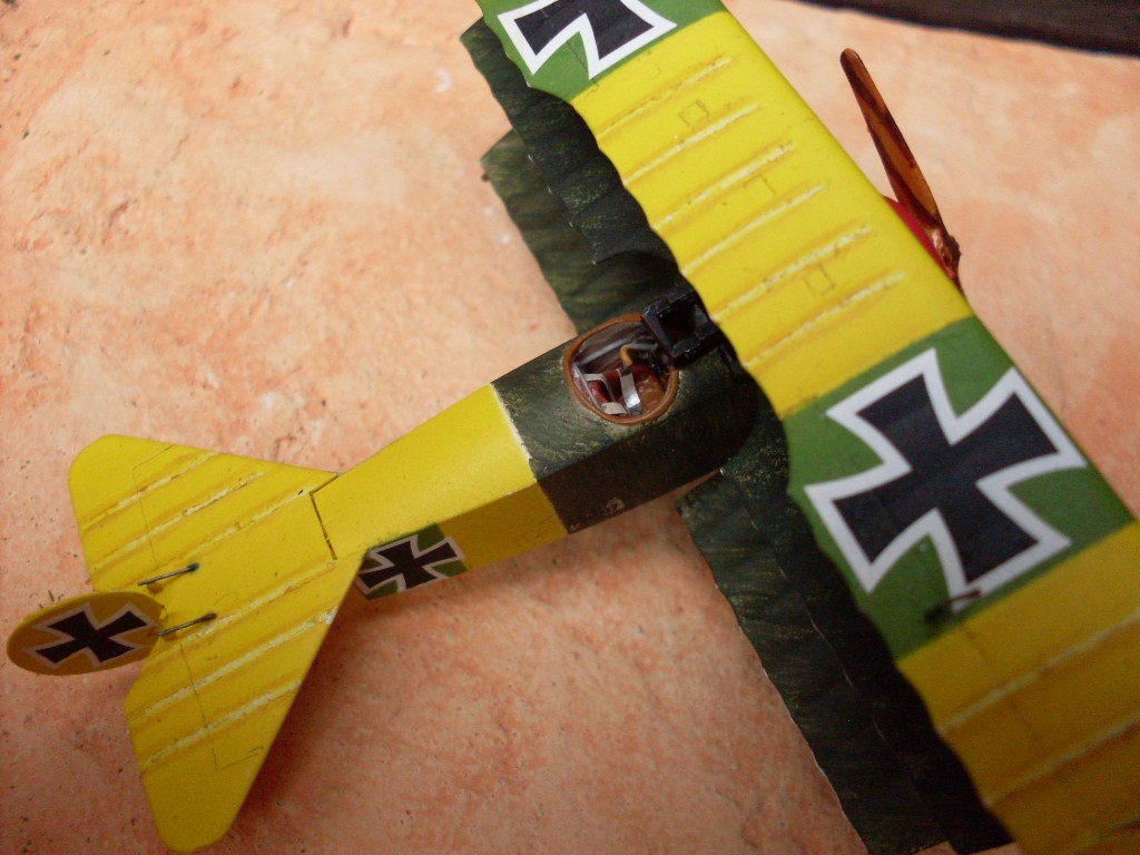 Copia di SDC12825.JPG