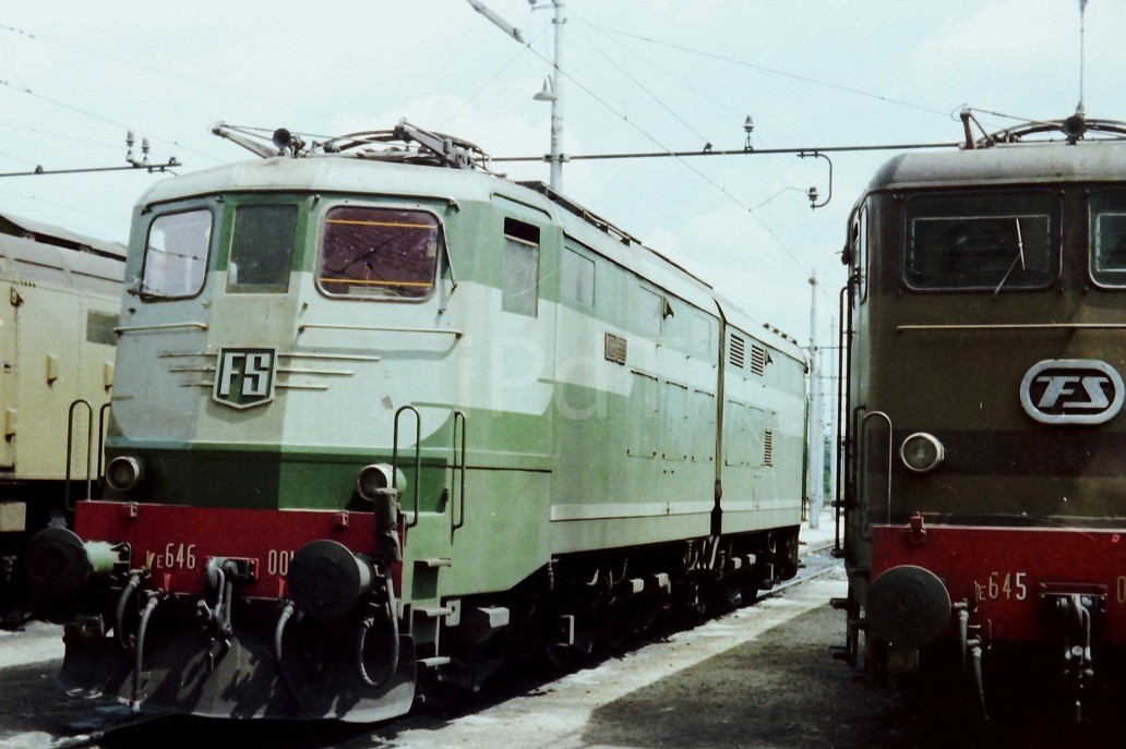 646.jpg