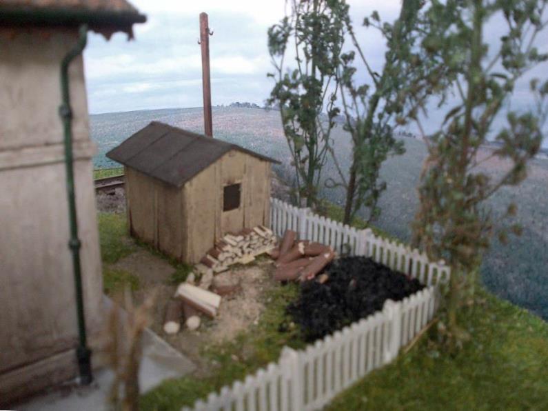 legna e carbone 01.jpg