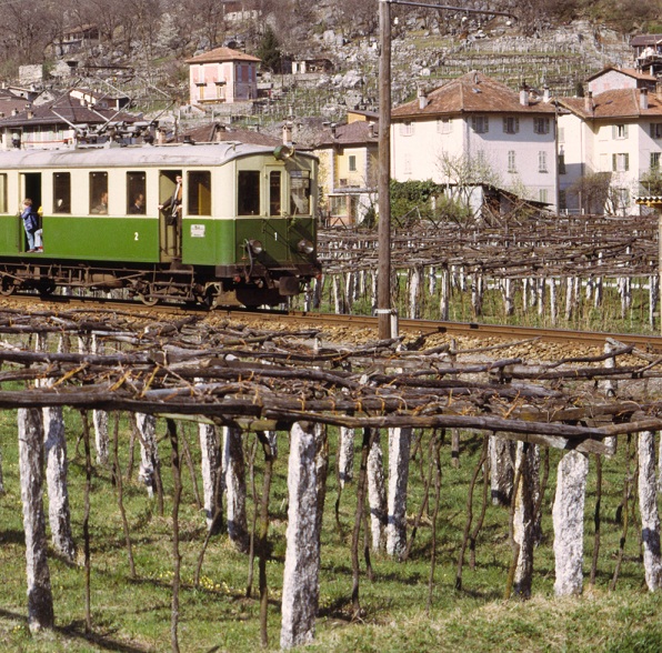 Vigna a malvaglia.jpg