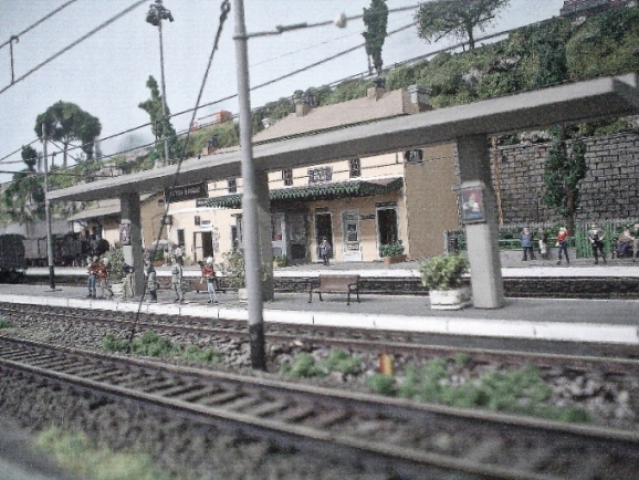 DSC07557 800  600.JPG