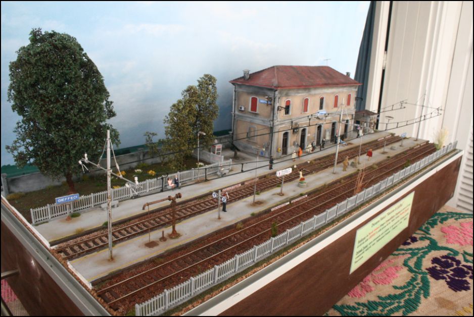 15.JPG