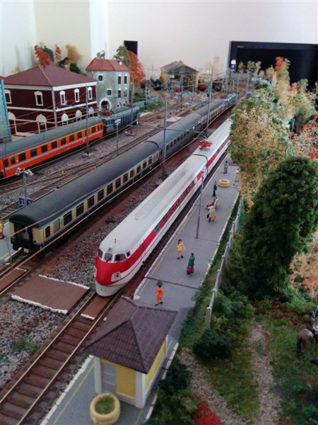 IMG_20150510_113711-1 (450 x 600).jpg